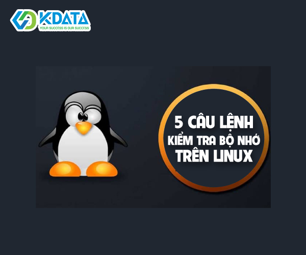 5 câu lệnh kiểm tra bộ nhớ trên Linux