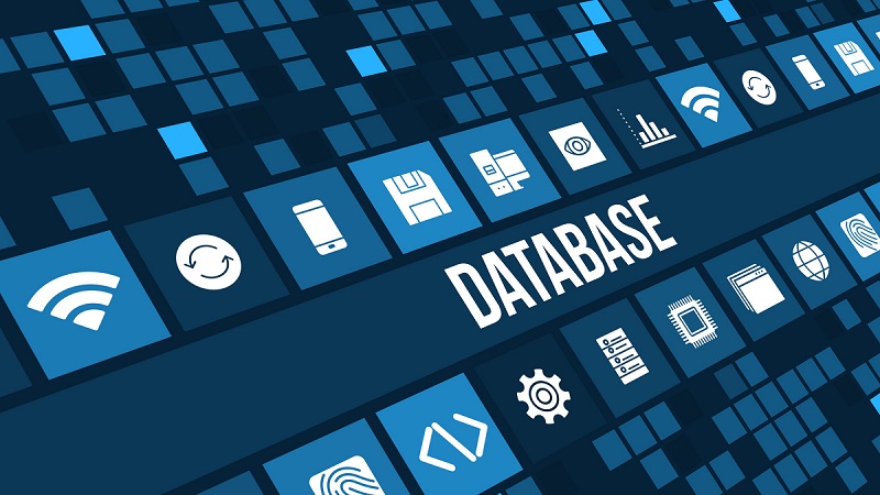 Cơ sở dữ liệu Database là gì? Các loại Database phổ biến hiện nay (1)