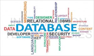 Cơ sở dữ liệu Database là gì? Các loại Database phổ biến hiện nay (3)