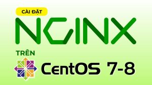 Hướng dẫn cài đặt Nginx trên CentOS 7 & CentOS 8