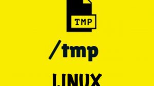Thư mục /tmp và /var/tmp trong Linux khác nhau như thế nào? (1)