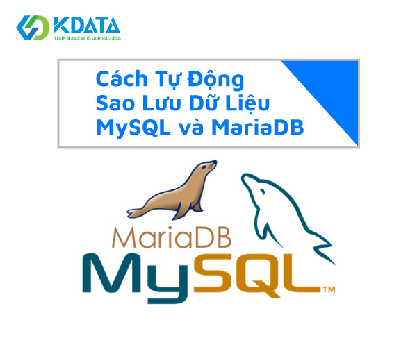  Hướng dẫn tự động sao lưu dữ liệu MySQL hoặc MariaDB