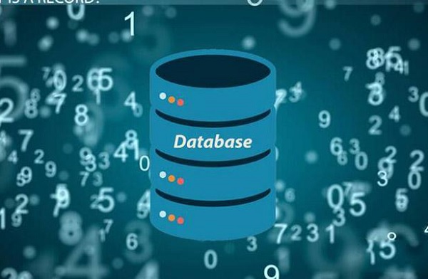 Các loại database phổ biến hiện nay, chọn cơ sở dữ liệu nào phù hợp? 1