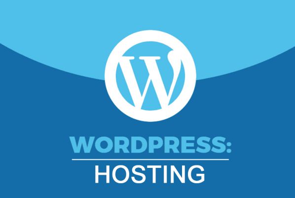 Phân loại WordPress Hosting, hướng dẫn chọn WP Hosting tốt nhất 3
