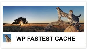 Top 7 plugin tăng tốc độ Wordpress tốt nhất hiện nay (4)