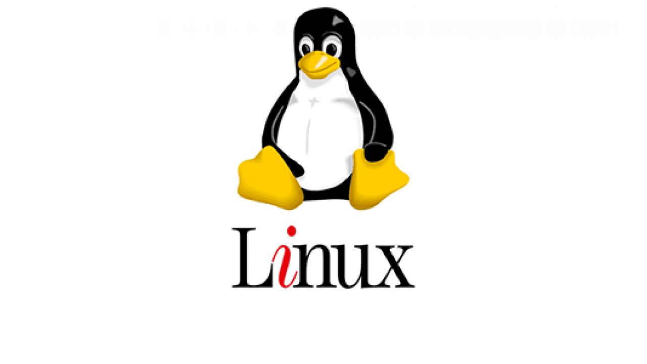 Các lệnh kiểm tra lượng RAM đã dùng trên Linux