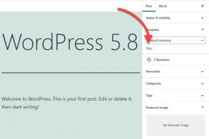 Wordpress 5.8 có gì mới? Version 5.8 có tính năng gì nổi bật? (1)