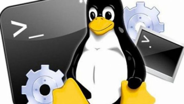 Cấm kỵ 8 lệnh mà bạn không bao giờ được chạy trên Linux