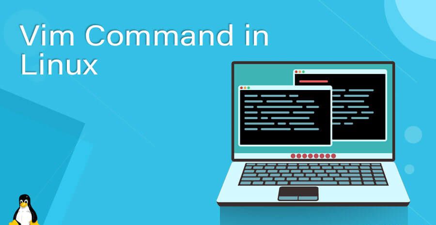 Cách sử dụng Vim trong Linux? Lệnh Vim trong Linux?