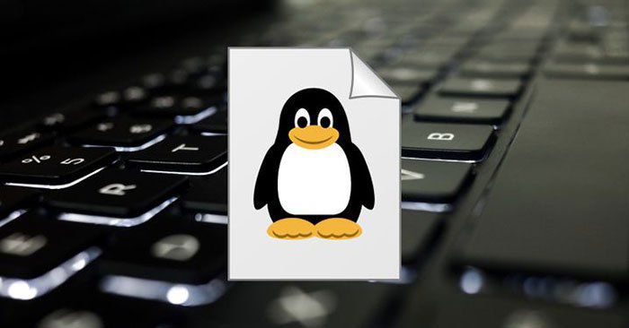 Hướng dẫn cách quản lý file trong Linux cơ bản nhất