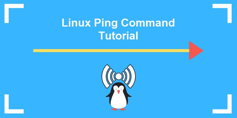 Hướng dẫn cách sử dụng lệnh ping trong Linux