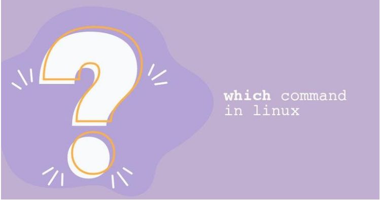 Lệnh Which trong Linux: Cú pháp và tùy chọn