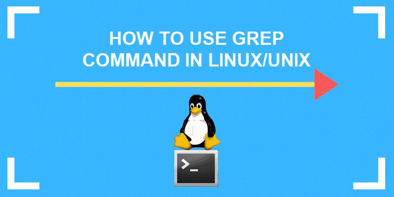 Hướng dẫn sử dụng lệnh grep trong Linux qua 10 ví dụ