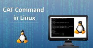Lệnh Cat trong Linux: Cú pháp và cách dùng cụ thể