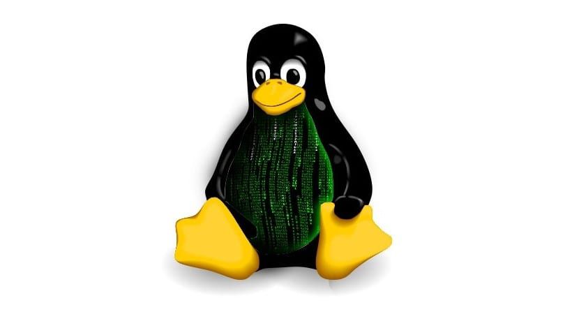 Cách kiểm tra phiên bản Kernel và bản phân phối Linux