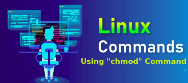 Chmod là gì và cách phân quyền truy cập file bằng lệnh chmod