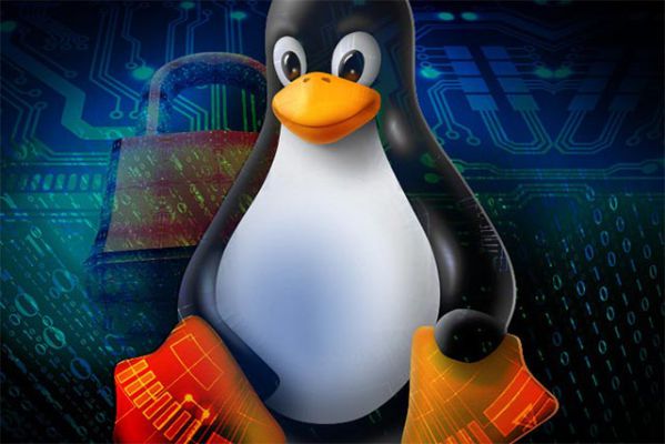 Hướng dẫn sao chép và các cách đổi tên file trong Linux