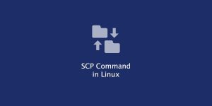 SCP command là gì? Cách sử dụng lệnh SCP trong Linux?