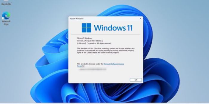 Hướng dẫn cách gỡ cài đặt ứng dụng trên Windows 11 siêu nhanh