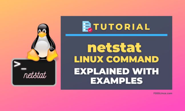 10 ví dụ về lệnh Netstat trên Linux dễ hiểu, tính ứng dụng cao