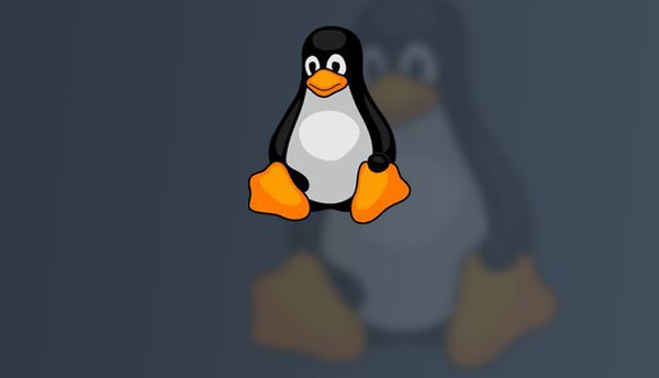 "Bash" trong Linux là gì? Sử dụng "Bash" như thế nào?