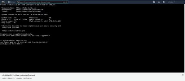 Chi tiết cách tạo Linux server trên đám mây bằng AWS EC2 9