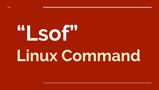 Dùng lsof để theo dõi file đang mở trên Linux như thế nào?