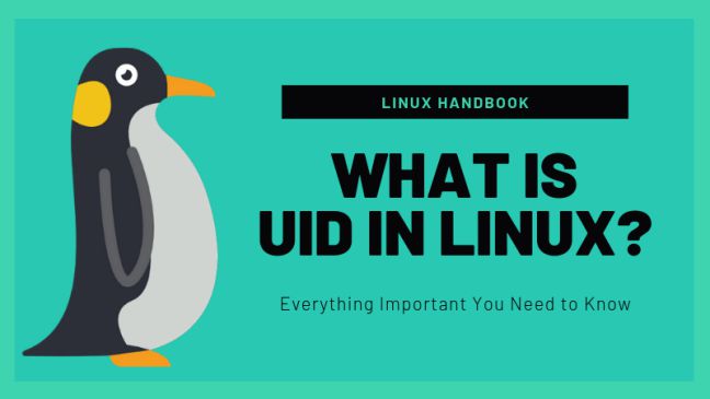 UID trong Linux là gì? Hướng dẫn cách tìm và thay đổi UID