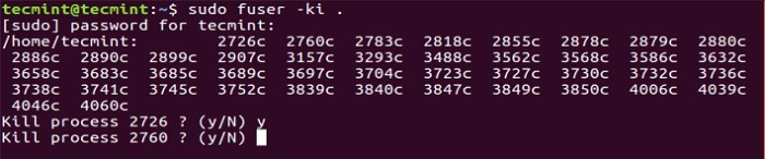 Tìm hiểu cách sử dụng lệnh fuser Linux thông qua các ví dụ