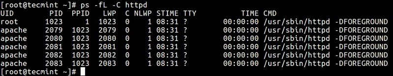 Sử dụng lệnh ps để giám sát quy trình Linux và 30 ví dụ điển hình