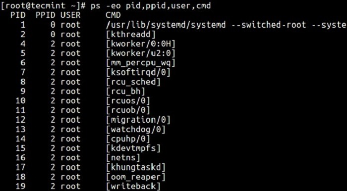 Sử dụng lệnh ps để giám sát quy trình Linux và 30 ví dụ điển hình