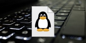 Làm thế nào để xóa nhanh siêu dữ liệu khỏi file trên Linux?