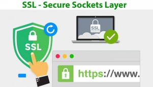 SSL là gì? Tổng hợp kiến thức cơ bản về chứng chỉ SSL
