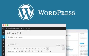 Top 10 Plugin đăng bài WordPress tự động lên mạng xã hội