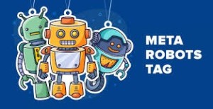 Robots Meta Tag là gì? Cách sử dụng hiệu quả cho SEO