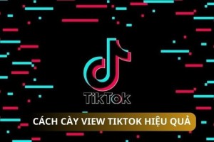 Chi tiết các cách cày view TikTok hiệu quả không bị phạt