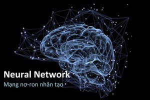 Neural Network là gì? Tổng quan về mạng Nơ-ron nhân tạo