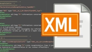 XML là gì? Tầm quan trọng của ngôn ngữ đánh dấu mở rộng