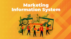  Marketing Information System (MIS) là gì - Ý nghĩa và cách hoạt động