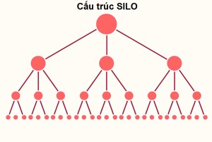  Silo là gì? 6 bước xây dựng cấu trúc Silo chi tiết nhất cho website