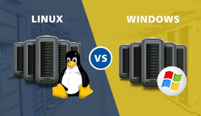 Hosting Linux và Hosting Windows khác nhau ở điểm nào?