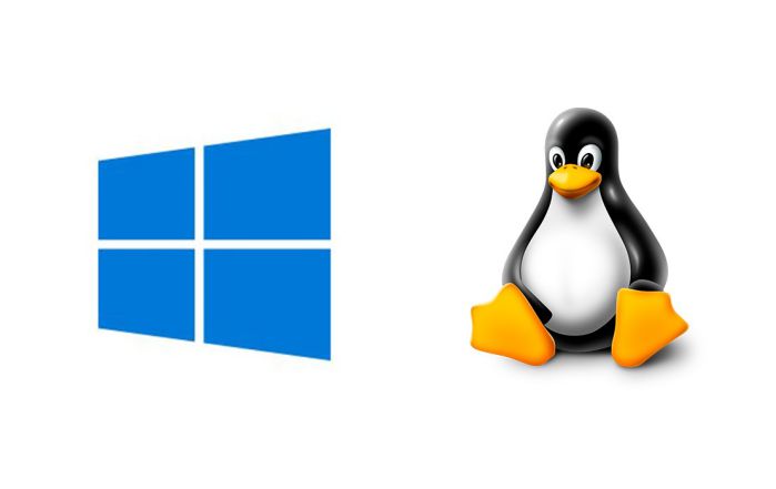 Chọn Windows Hosting hay Linux Hosting cho website, cái nào tốt hơn?