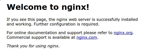 install nginx debian 11