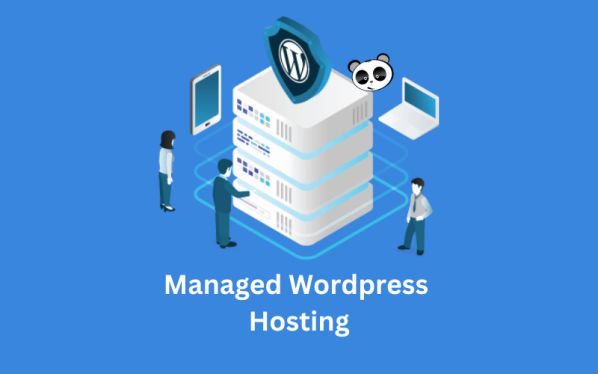 WordPress Managed Hosting là gì và ưu nhược điểm của nó  1