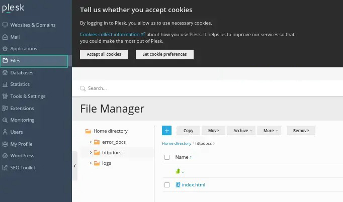 plesk file manager