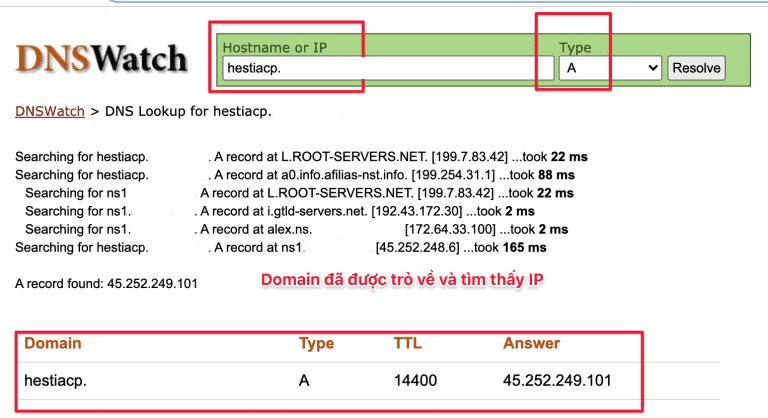 cấu hình bản ghi DNS ssl hestiacp