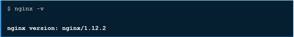 check nginx version