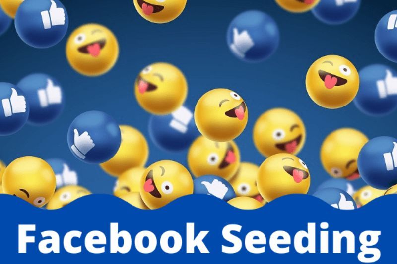 seeding facebook