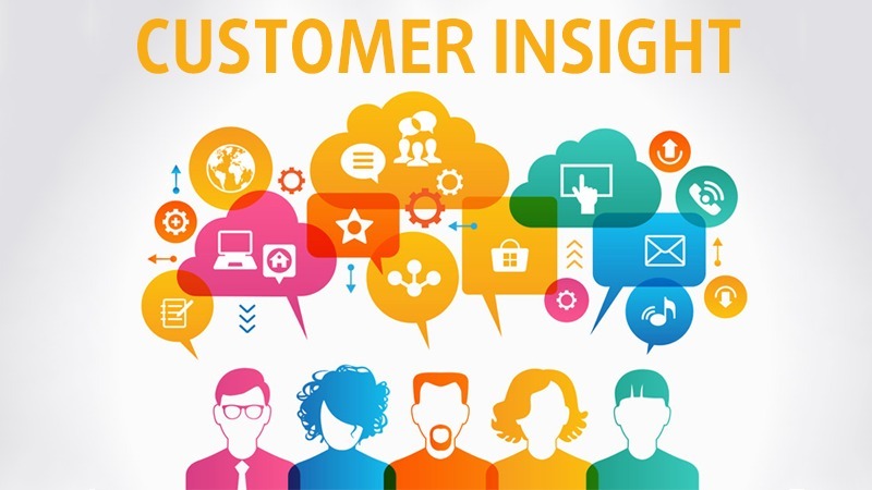 customer insight là gì