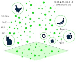  Giải mã Vector Search là gì: Công nghệ đột phá cho trải nghiệm tìm kiếm thời thượng AI